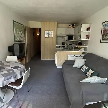 30m2 Pour 4 Pers Avec Canape-lit Et Lit Superposé La Mongie